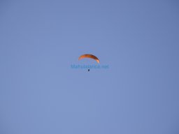 Castillo de Alhama 2008